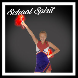 Cheer / School Spirit Products